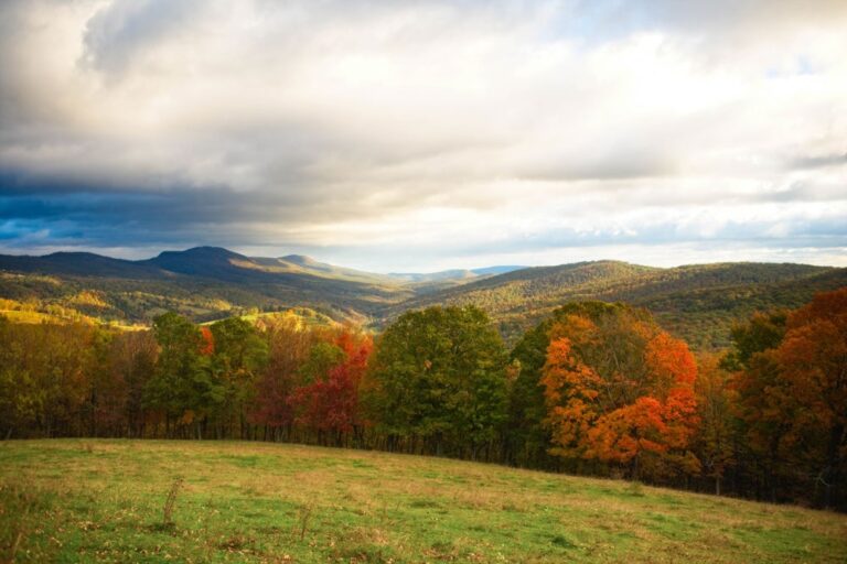 West Virginia Forest