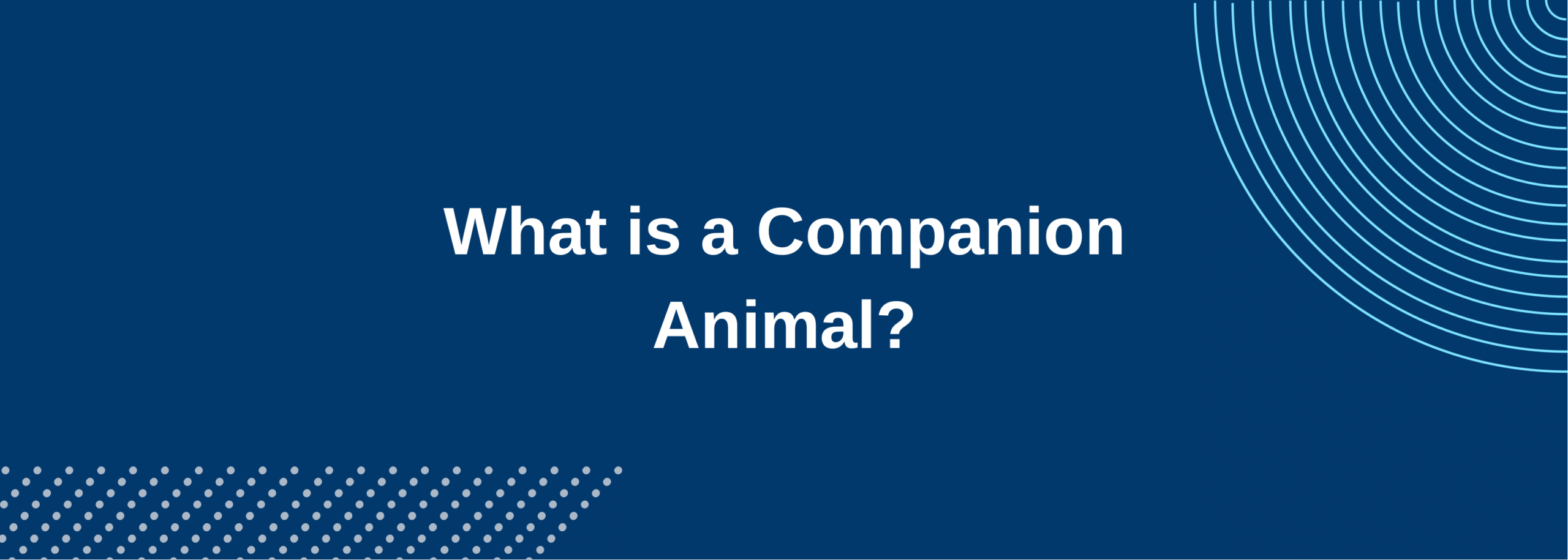What is a Companion Animal?